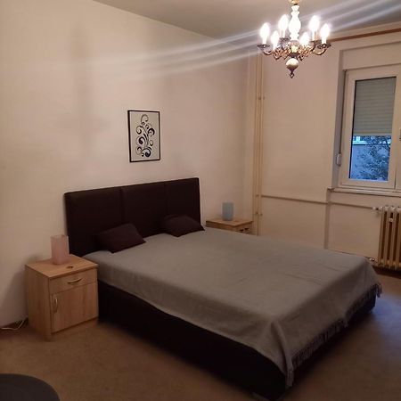 Nikola Hram Apartment เบลเกรด ภายนอก รูปภาพ